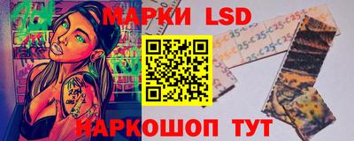 индика Брянск