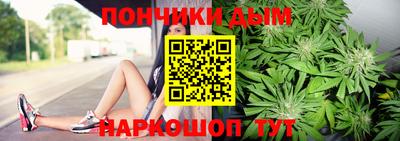 индика Брянск