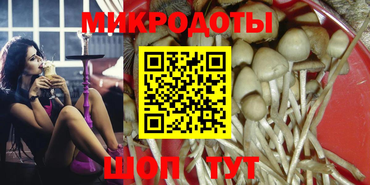 Галлюциногенные грибы Psilocybine cubensis  Вход с VPN  Белгород 